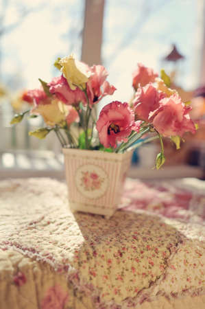 flower pots in the rays of sunlight on a windowの写真素材
