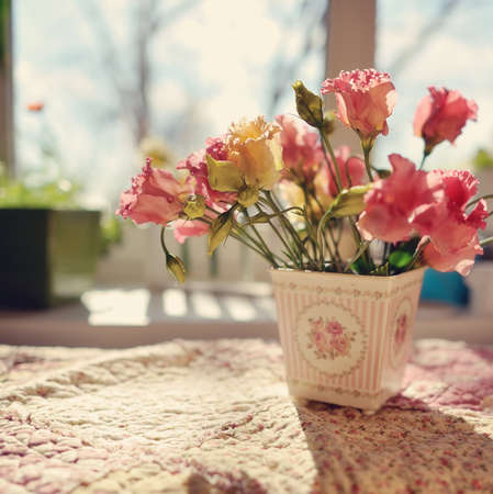 flower pots in the rays of sunlight on a windowの写真素材