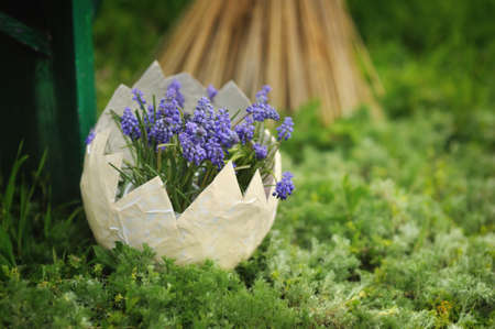 on the green grass in the pot as a white egg with blue flowersの写真素材