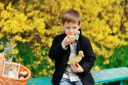 against the background of a flowering bush boy plays in a black coat with a yellow ducklingの写真素材