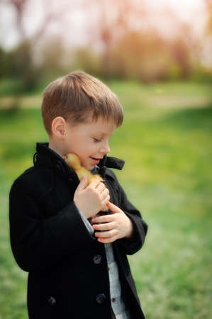on the nature of the boy in a black coat plays with yellow ducklingの写真素材
