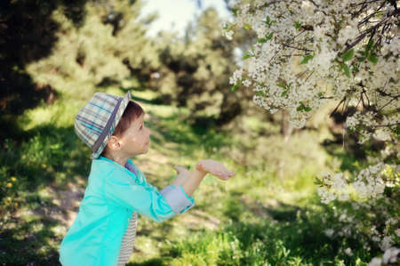 in nature in a lush garden a little boy in a blue shirt and hatの写真素材