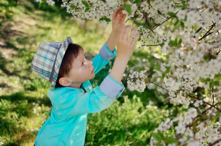 in nature in a lush garden a little boy in a blue shirt and hatの写真素材