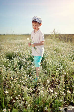 boy in blue shorts and a cap walks on chamomile fieldの写真素材