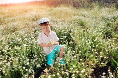 on a meadow boy in blue shorts and a cap gathers daisiesの写真素材