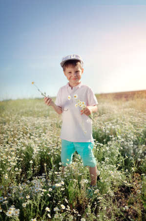boy in blue shorts and a cap walks on chamomile fieldの写真素材