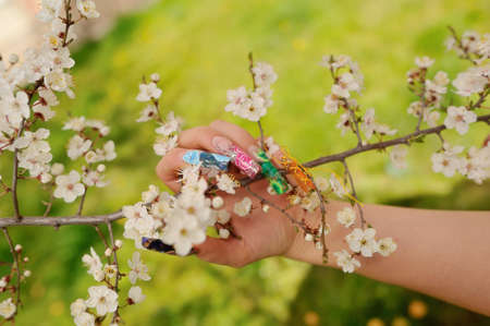 against the background of flowering branches of women s hands with a nice manicure different pictureの写真素材