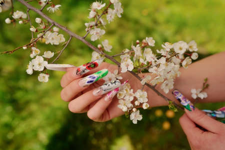 against the background of flowering branches of women s hands with a nice manicure different pictureの写真素材