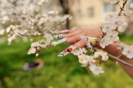 against the background of flowering branches of women s hands with a nice manicure different pictureの写真素材