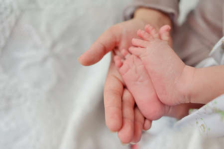 on a white background sweet little baby legsの写真素材