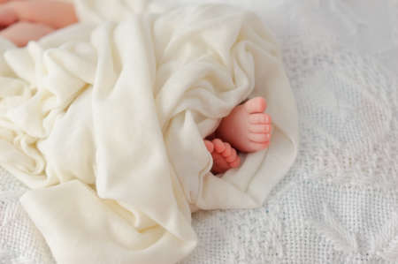 on a white background sweet little baby legsの写真素材