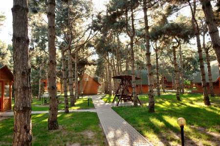 in a pine forest between pine trees in the sunlight wooden houses and swingの写真素材