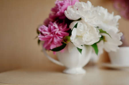 on a light background in white decorative vase pink and white peoniesの写真素材