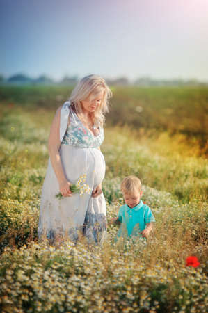 Summer walk on the field chamomile pregnant mother with a young sonの写真素材