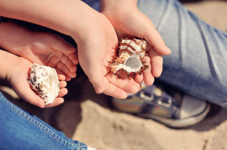palms on the children s hands are beautiful seashellsの写真素材