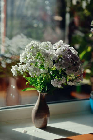 on the window sill is a bouquet of white ornamental flowers in a beautiful vaseの写真素材