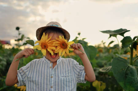 little boy in a straw hat in sunflowers is played with flowersの写真素材