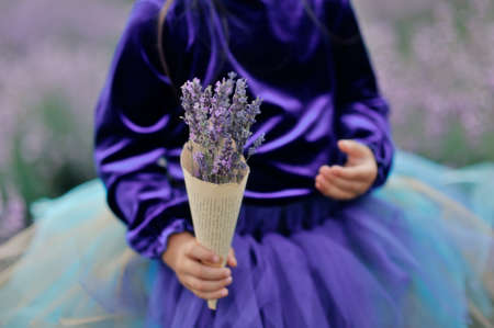 close-up of children s hands hold in the palms of lavender petalsの写真素材