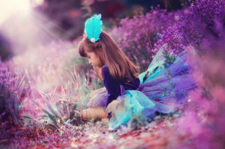 on the fragrant lavender walks beautiful girl in a smart dressの写真素材