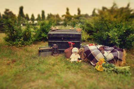 large trunk on the green grass scattered ripe apples at the stack of hay and toysの写真素材