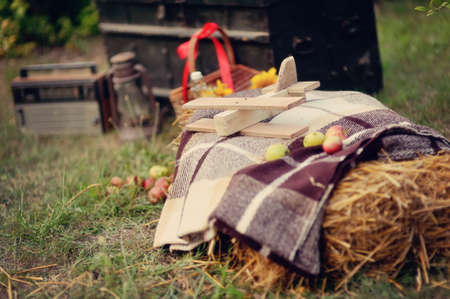 on the green grass scattered ripen apples at the stack of hay and a wooden toy airplaneの写真素材