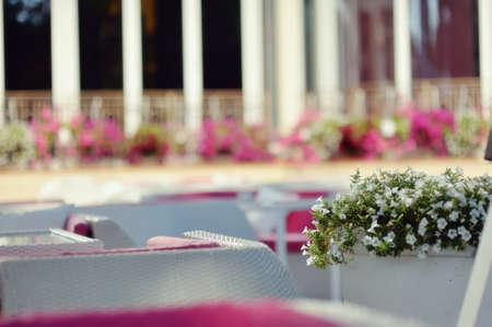 on the nature of the white room with white elegant furnitureの写真素材