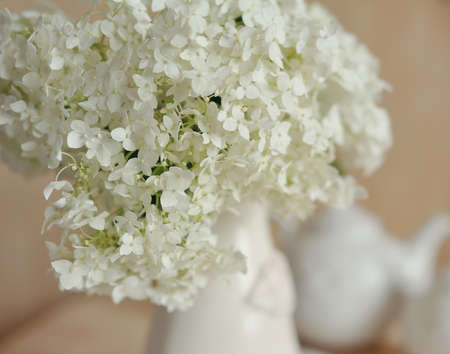 close-up of bud of white lilac in a white vase