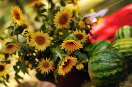in the park on the green lawn are large ripe watermelons and bouquet of sunflowersの写真素材