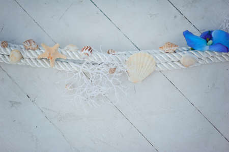 on the wooden deck of a white rope with shells and starfishの写真素材