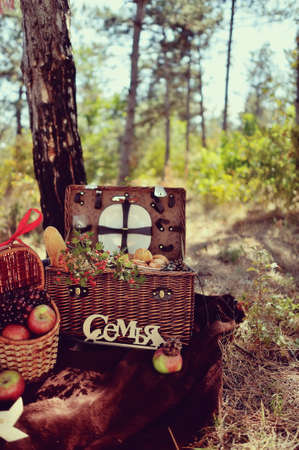 autumn still life in the woods picnic basket with fruit and breadの写真素材