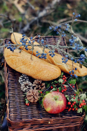 autumn still life in the woods picnic basket with fruit and breadの写真素材