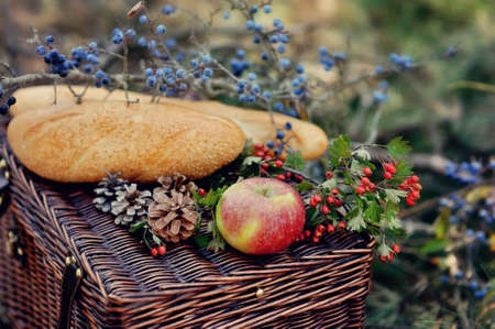 autumn still life in the woods picnic basket with fruit and breadの写真素材
