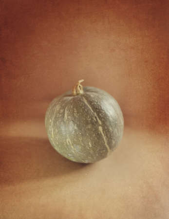 on a beige texture of a green pumpkinの写真素材