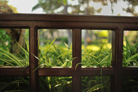brown wooden fence with green grass and a park behind itの写真素材