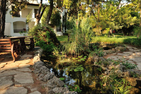 beautiful landscape in the park pond with liliesの写真素材