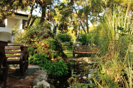 beautiful landscape in the park pond with liliesの写真素材
