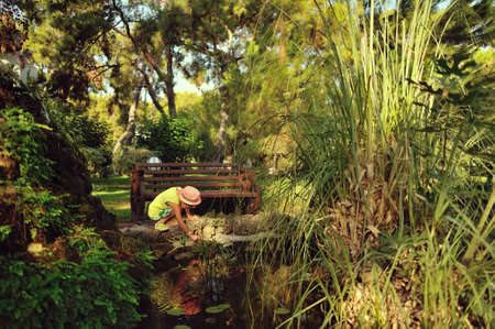 beautiful landscape in the park pond with lilies and a boy in a hat Flashes near the waterの写真素材