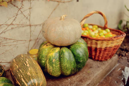 the wall of an old house with a large ivy gourd and basket with applesの写真素材