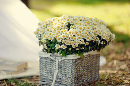 Outdoors a large wicker basket with a bouquet of daisiesの写真素材