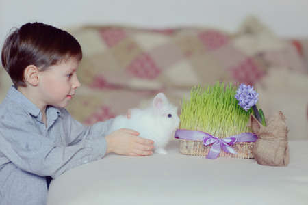 child plays with little fluffy white rabbit near the flowerpot with grass and flowerの写真素材