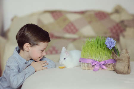 child plays with little fluffy white rabbit near the flowerpot with grass and flowerの写真素材