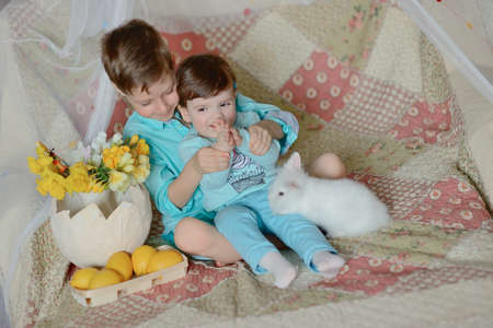 on a colored blanket children in blue suits with white rabbit, flowers and lemonsの写真素材