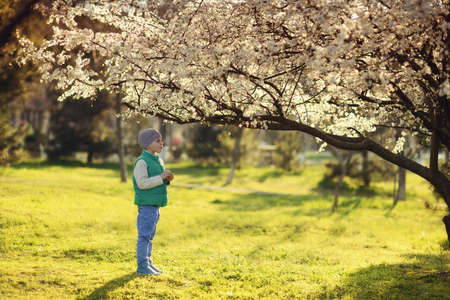 in nature in a flowering garden a little boy in a blue shirt and hatの写真素材