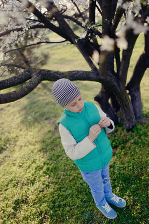in nature in a flowering garden a little boy in a blue shirt and hatの写真素材