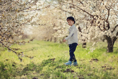 in nature in a flowering garden a little boy in a blue shirt and hatの写真素材