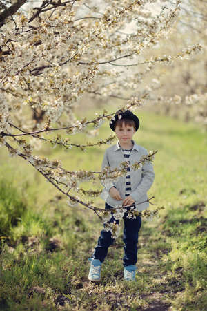 in nature in a flowering garden a little boy in a blue shirt and hatの写真素材