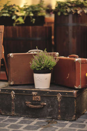 floral arrangement on the street and old suitcases flowerpot with flowersの写真素材