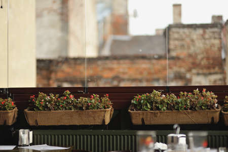 on the background of old brick houses on the wall wooden vases with flowersの写真素材