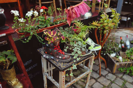 Street Vintage composition decorative flowers in pots of different shoesの写真素材