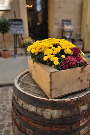 Street Vintage composition decorative flowers in a box on a wooden barrelの写真素材